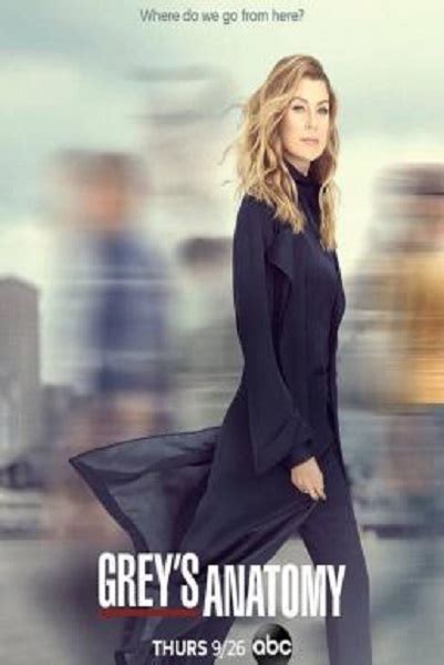 Grey's Anatomy: Season 16 (2019) .